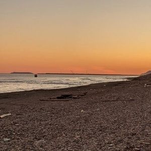 Meet your Posher, Owen